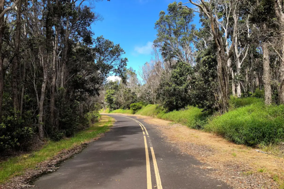 Crater Rim Drive running through the forest toward Keanakakoi Crater