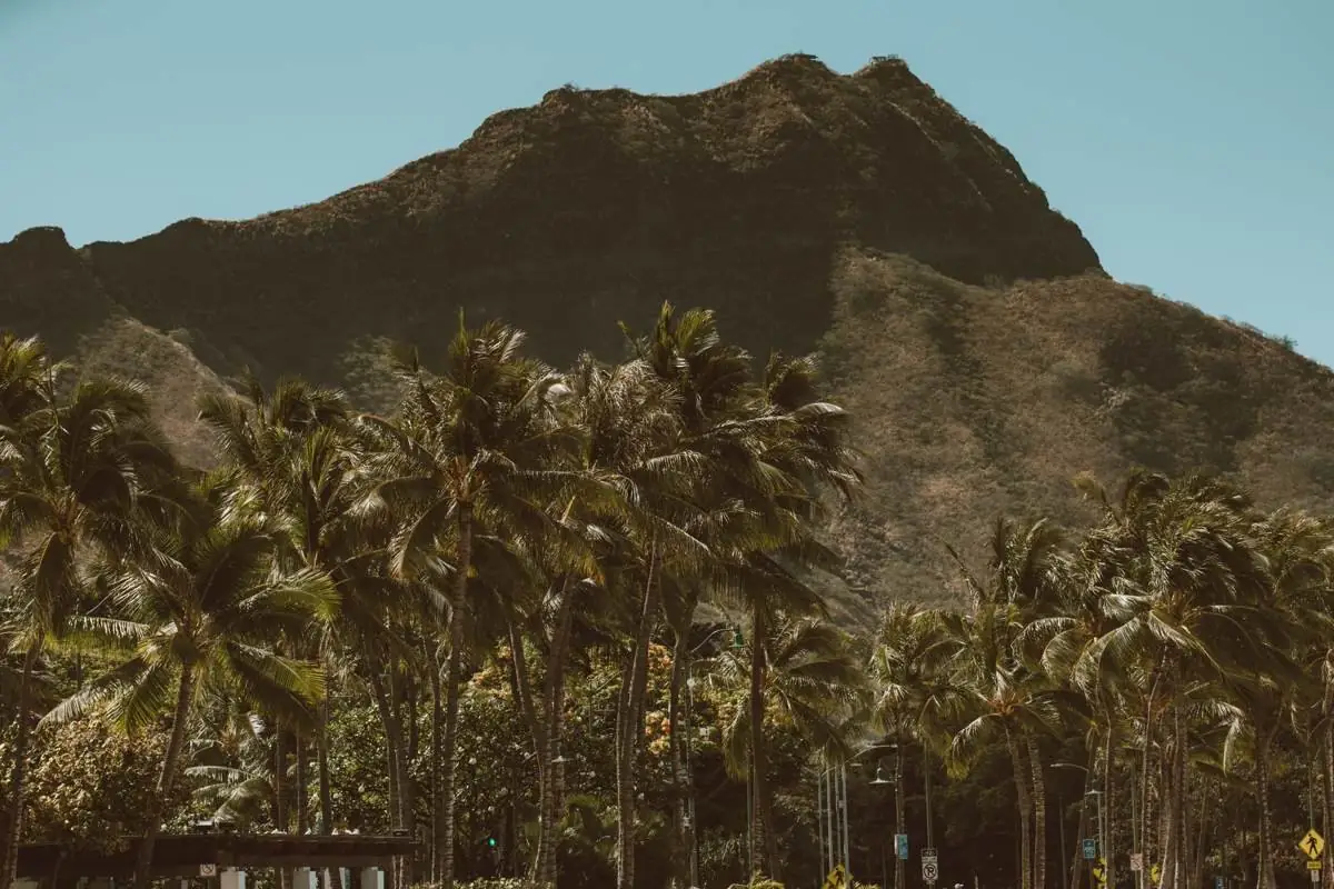 Diamond Head rising behind palm trees near Waikiki