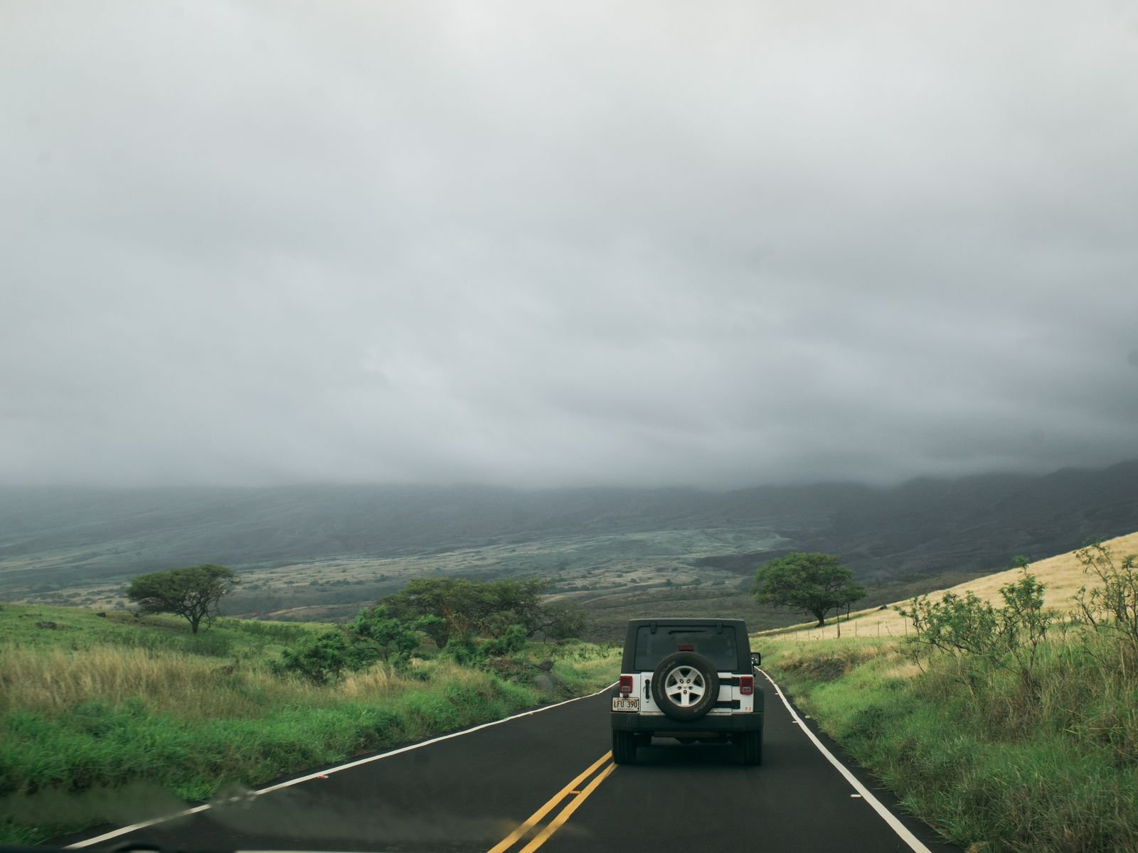 Jeep Wrangler rental on a scenic road