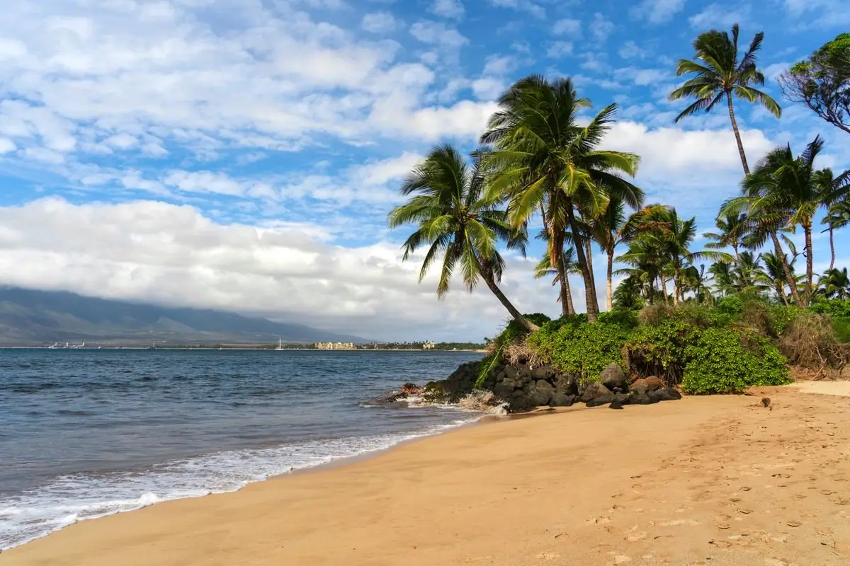 A palm-lined beach at Kihei on Maui's south shore under a clear blue sky